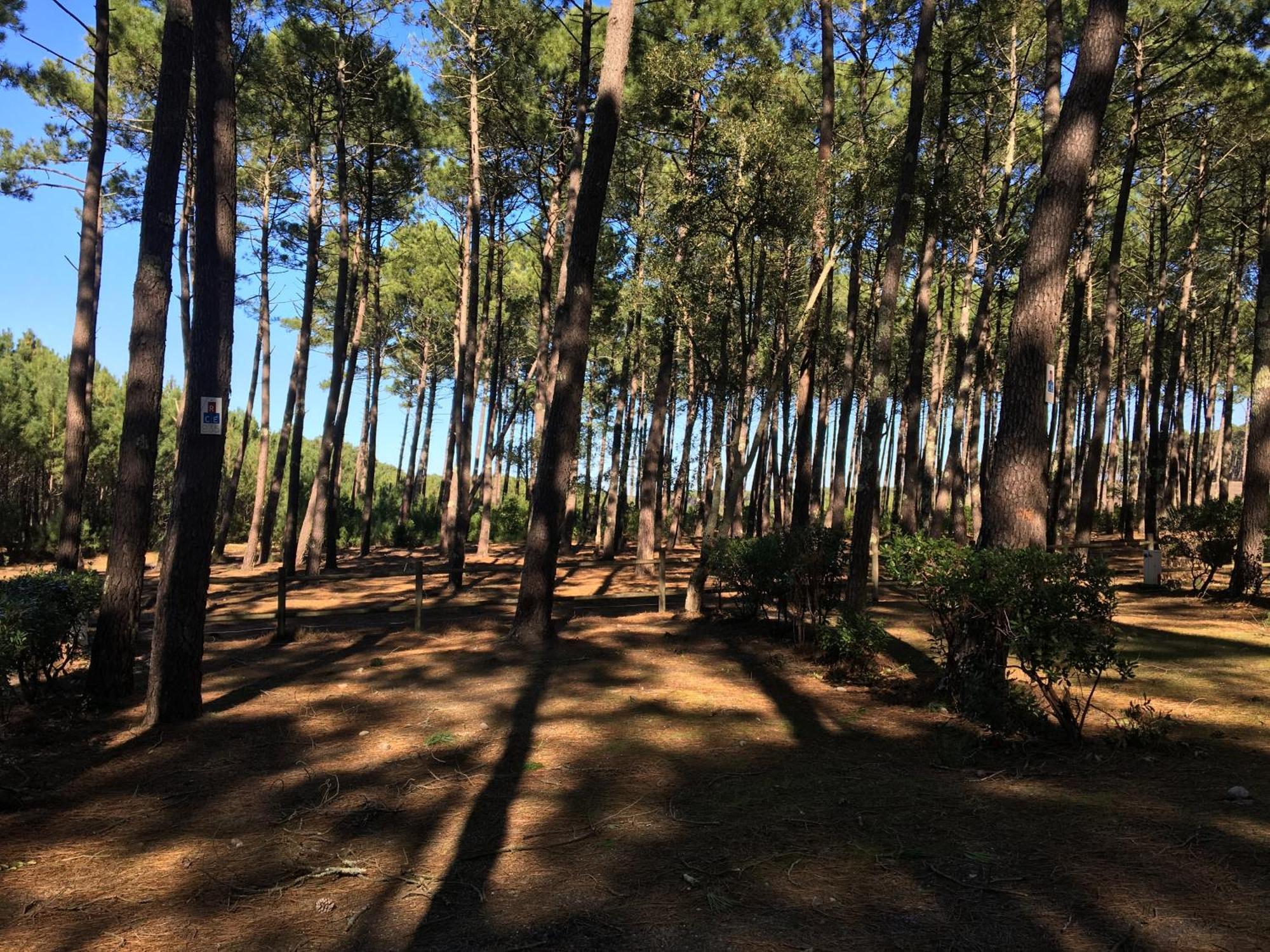 הוילה לי-א-מיקס La Bergerie Des Landes מראה חיצוני תמונה